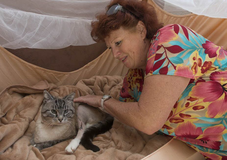 Dorina Stenicka mit Sissi. Die Katze wurde vor zweieinhalb Wochen angeschossen. Sie überlebte schwer verletzt.