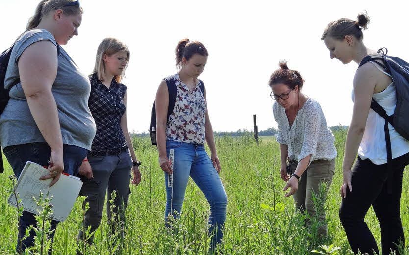 Das Studentinnenquartett und seine Professorin sind im Eichen-Areal bei Vockerode unterwegs.
