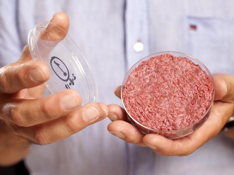 Professor Mark Post von der Universität Maastricht präsentiert künstliches Fleisch aus dem Labor in einer Petrischale. Foto: David Parry