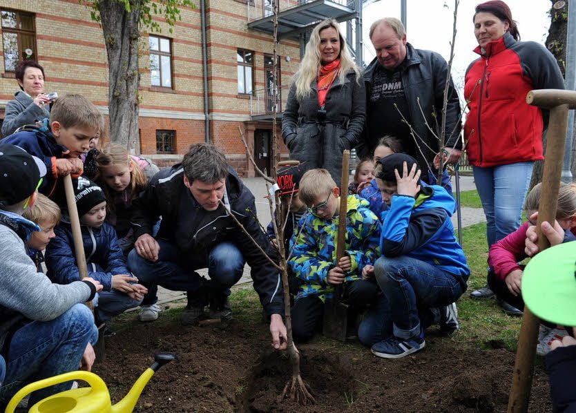 Grundschüler und Spender pflanzen gemeinsam.
