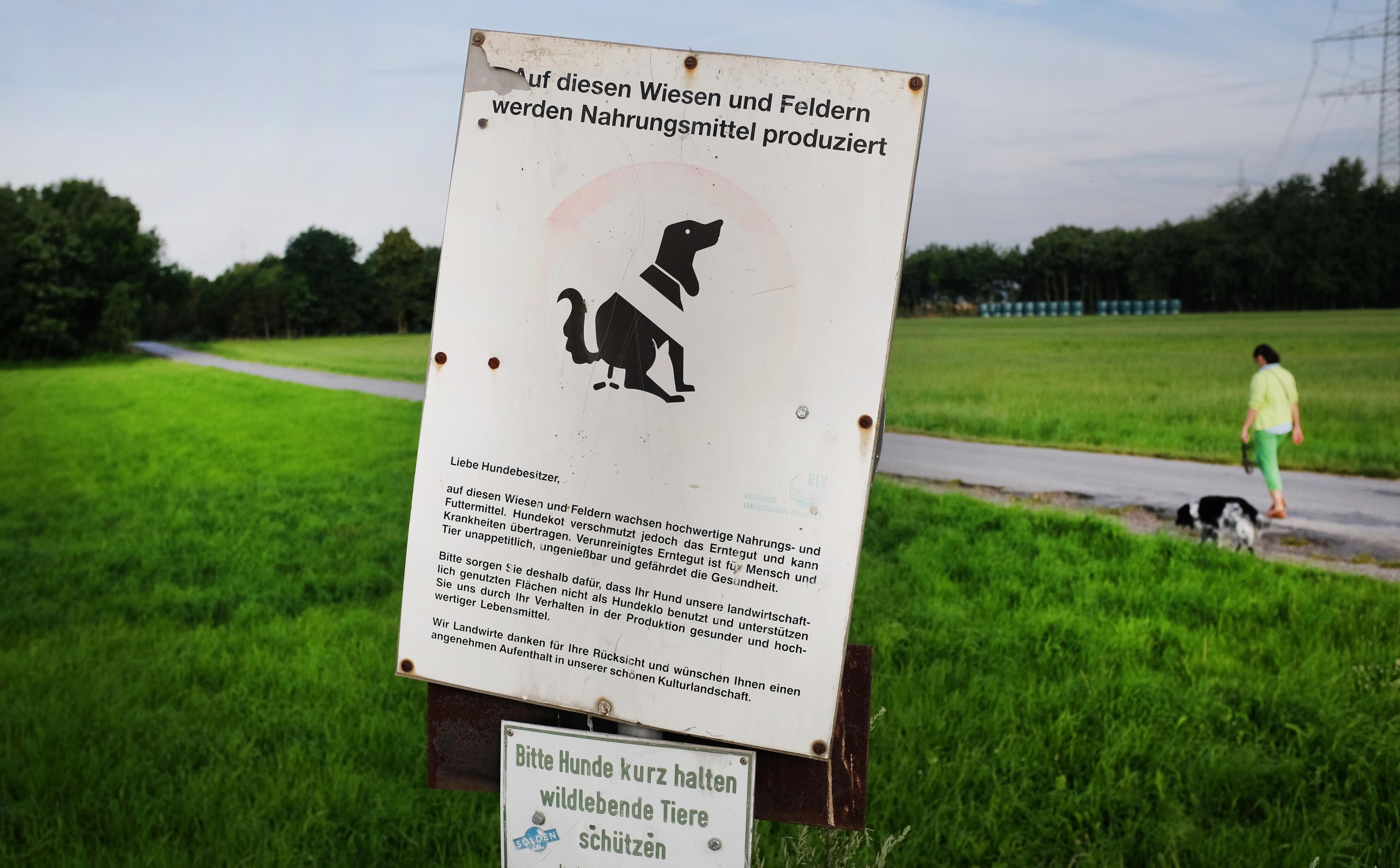 Ein Schild weist in Düsseldorf (Nordrhein-Westfalen) darauf hin, dass Hundekot nicht auf Landwirtschaftsflächen gehört.