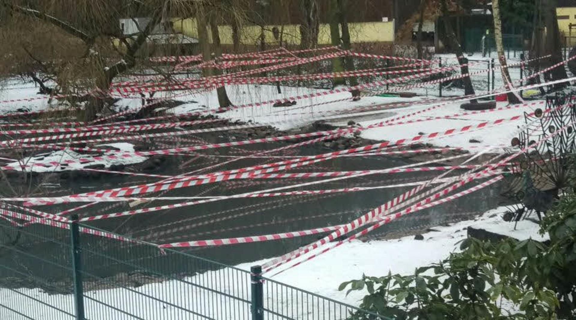 Der verwaiste Ententeich ist mit Absperrband überzogen, damit keine Wildvögel auf dem Teich landen können.
