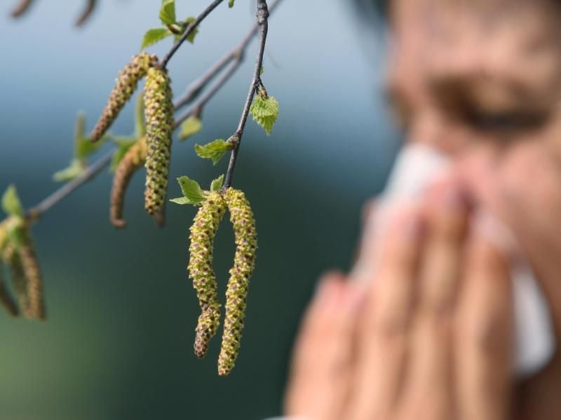 Harte Tage für Allergiker: Mit der Wärme kommt auch der Pollenflug in Schwung. Foto: Karl-Josef Hildenbrand