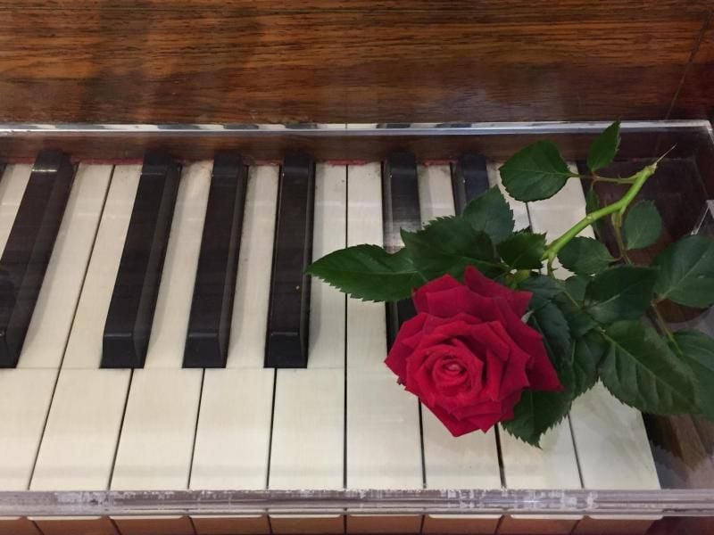 Eine rote Rose auf einem Klavier in Valldemossa auf Mallorca. Foto: Carola Frentzen