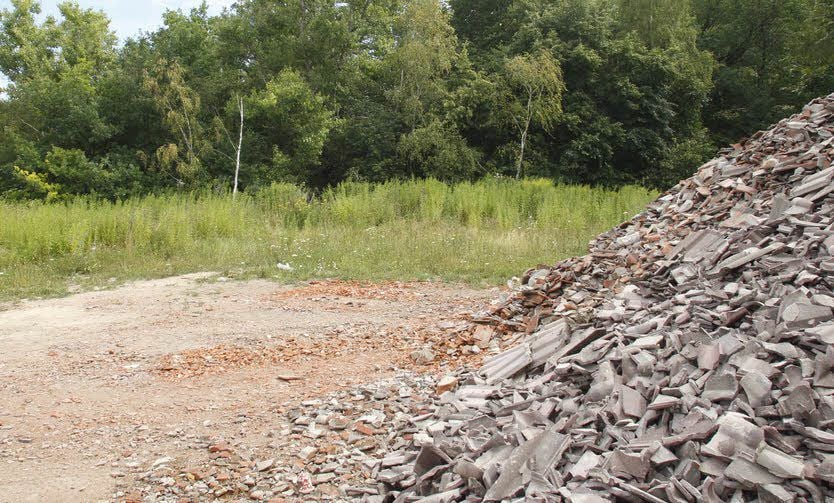 Das unwegsame Gipsbruchareal bei Wiederstedt.