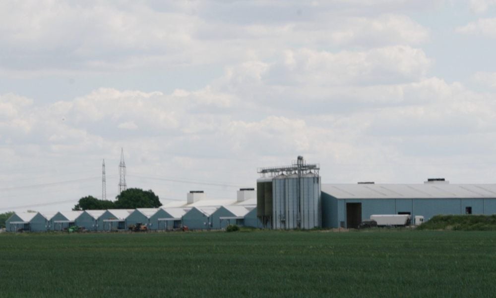 Blick auf die Schweinemastanlage Gerbisbach. Die immissionsschutzrechtliche Genehmigung zum Bau des Objekts war im August 2009 erfolgt. Vor allem seitdem, aber auch schon davor gab es Widerstand gegen die Mastanlage, der bis heute anhält.