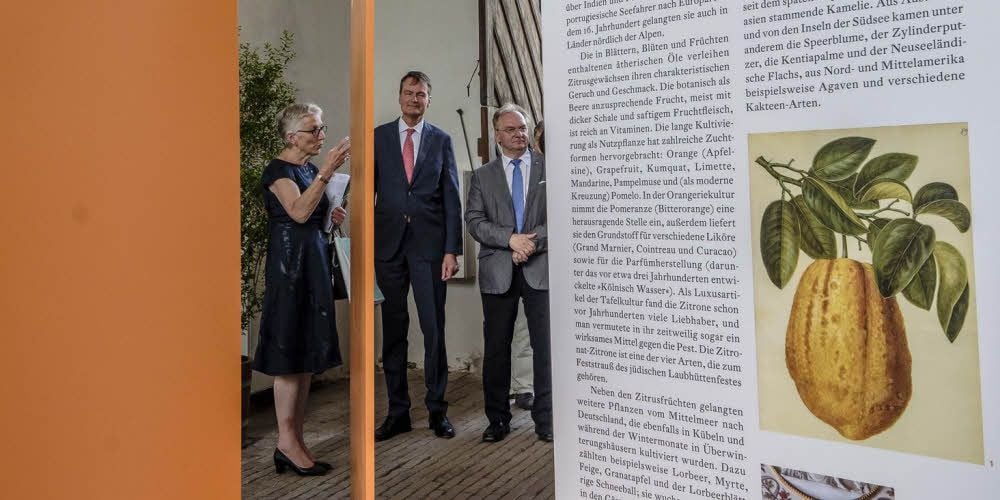 Stiftungsdirektorin Brigitte Mang, Botschafter Webke Kingma und Ministerpräsident Reiner Haseloff (v.l.) in der Ausstellung