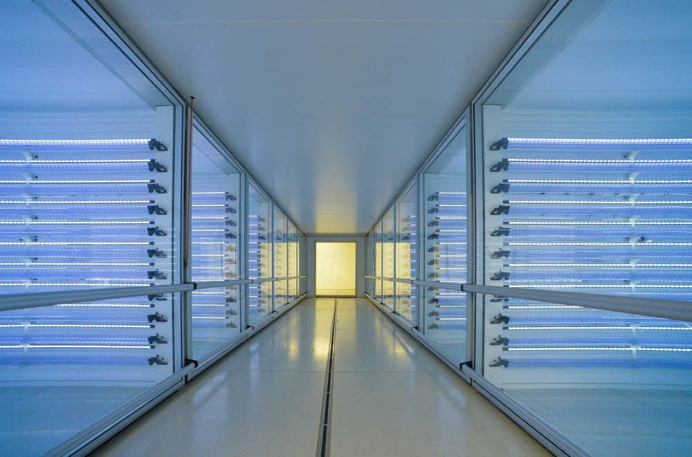 Blick in einen Brutschrank. In ihm können bis zu 90.000 Küken ausgebrütet werden.