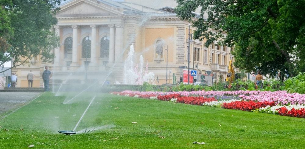 Saftiges Grün: Die Wiese am Curie-Platz wird regelmäßig bewässert.