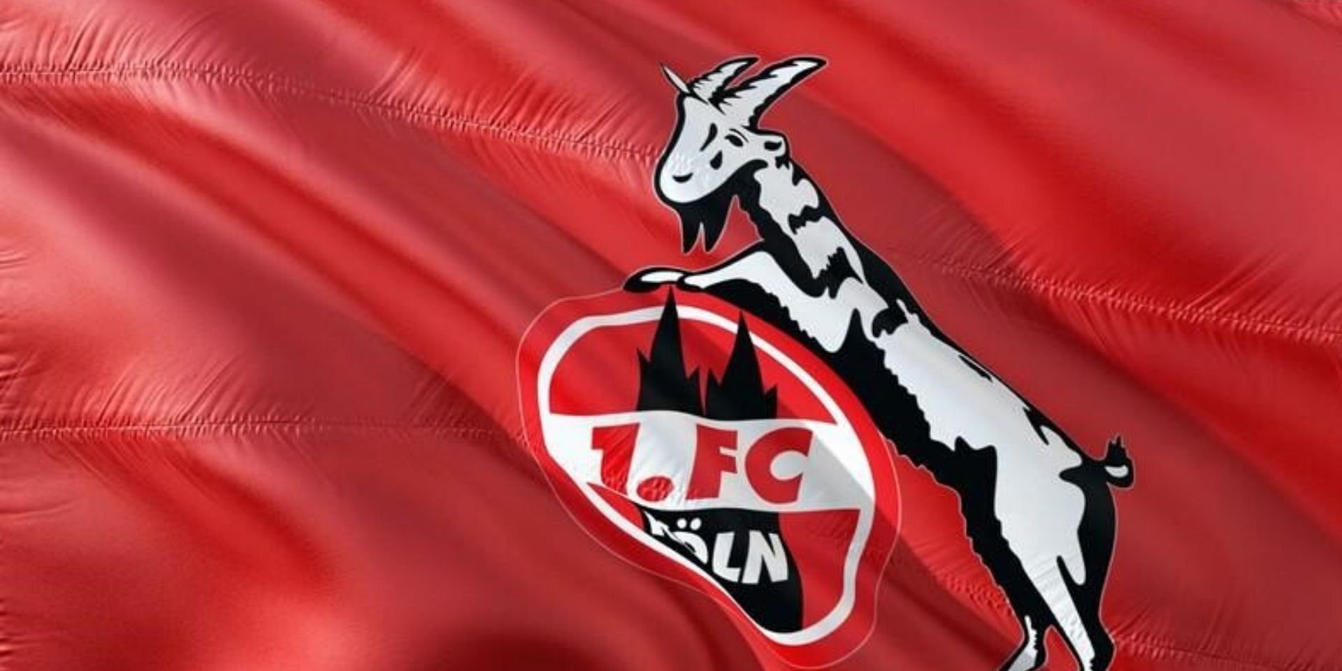 1. FC Köln Fanartikel: Shotgläser, Tassen und vieles mehr!