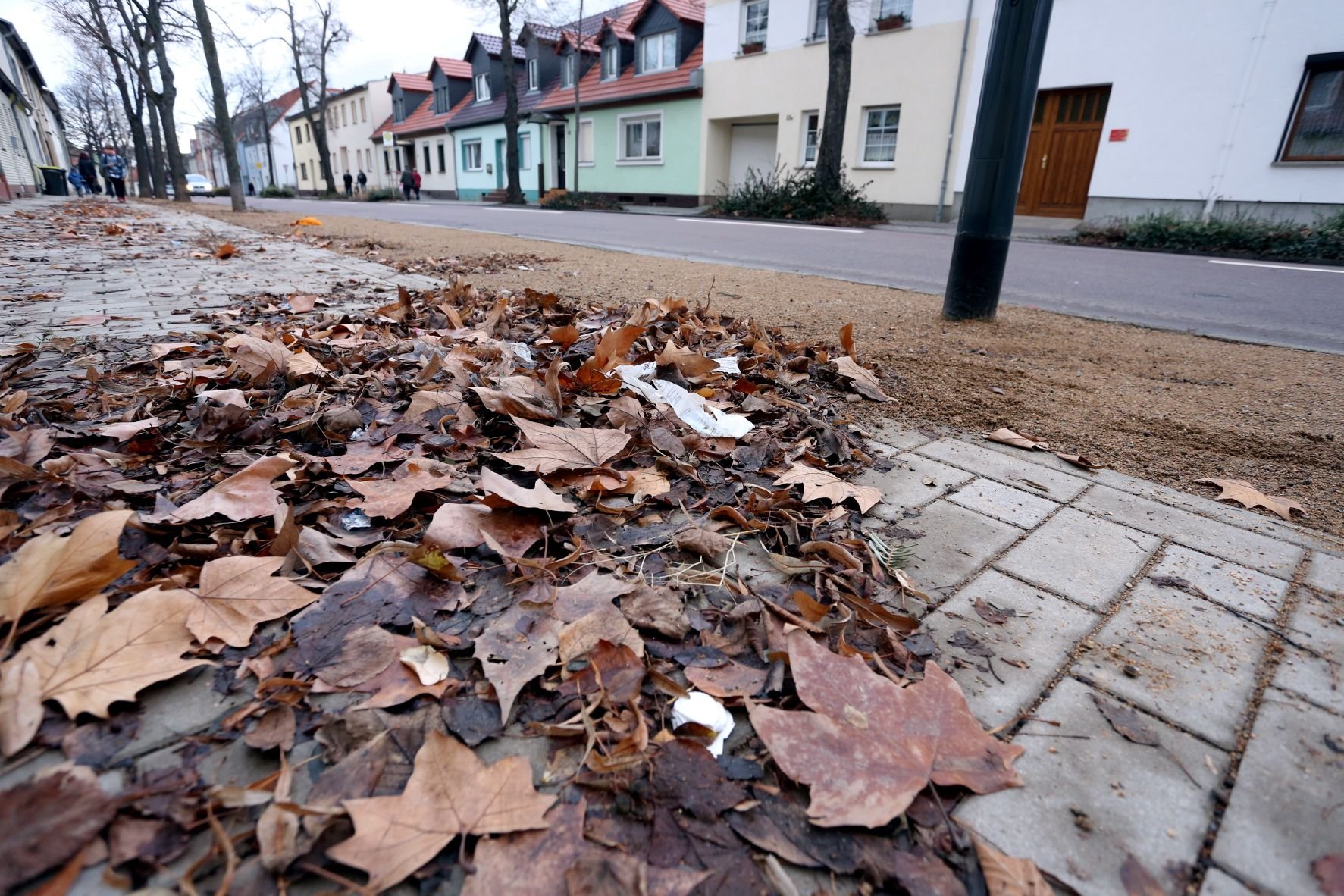 Auf einem Stück Gehweg der Kustrenaer Straße in Bernburg liegt noch immer das Laub des Vorjahres.