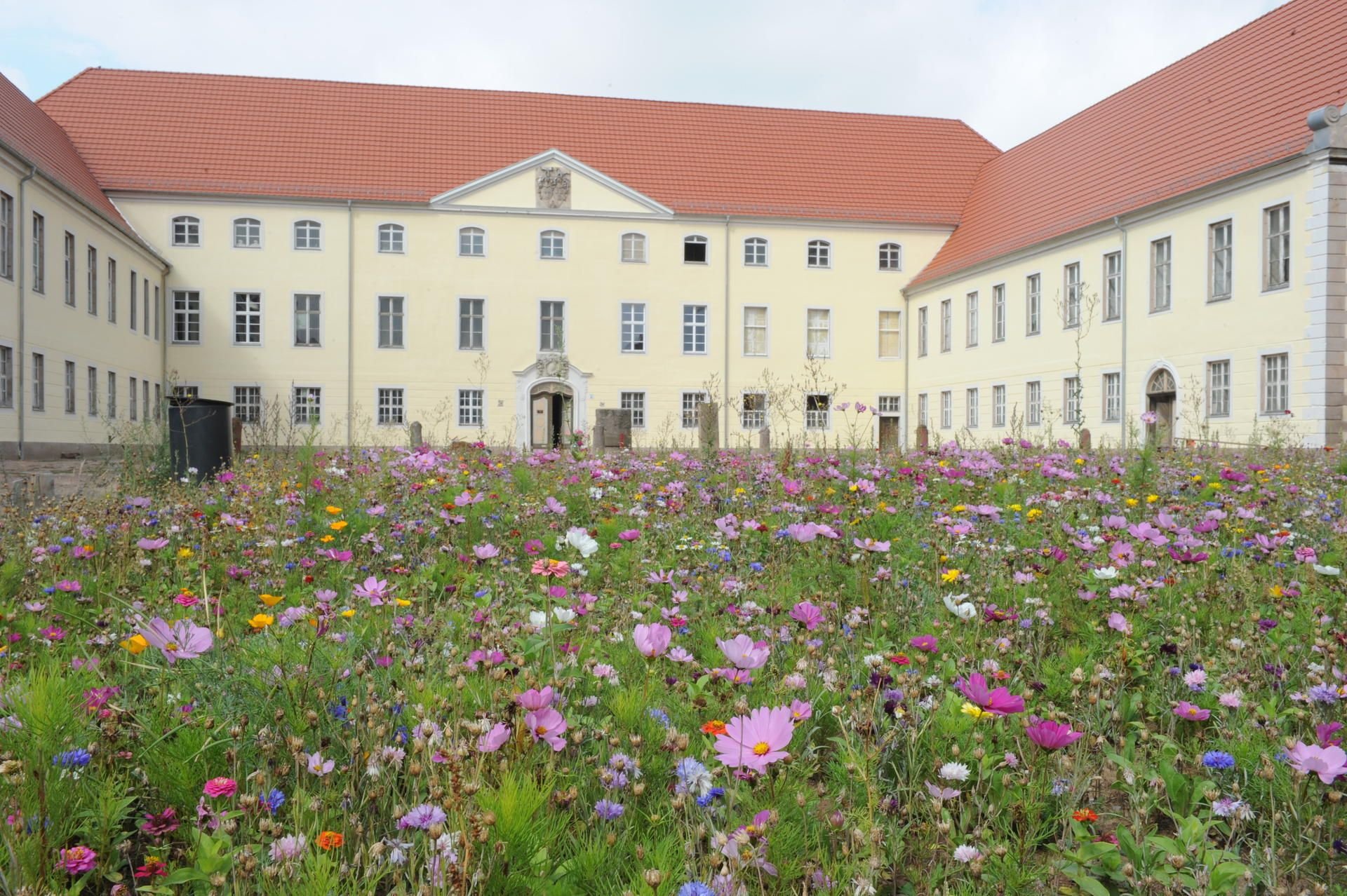 Am 29. April soll auf dem Sonnenschloss Walbeck der erste Open-Air-Kreativmarkt in der Region Hettstedt stattfinden.