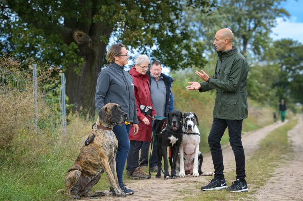 Bei einem Spaziergang hat José Arce die Hunde und ihre Besitzer beobachtet. Probleme wurden ausgewertet.
