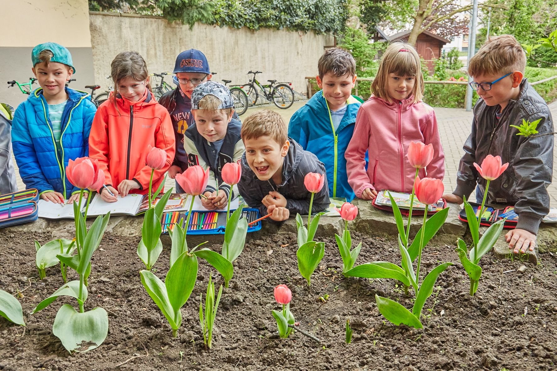Zweitklässler der Bernburger Diesterweg-Grundschule haben in den Beeten auf dem Schulhof Hunderte Blumenzwiebeln gepflanzt.