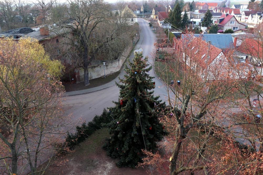 Blick auf den festlich geschmückten Weihnachtsbaum.