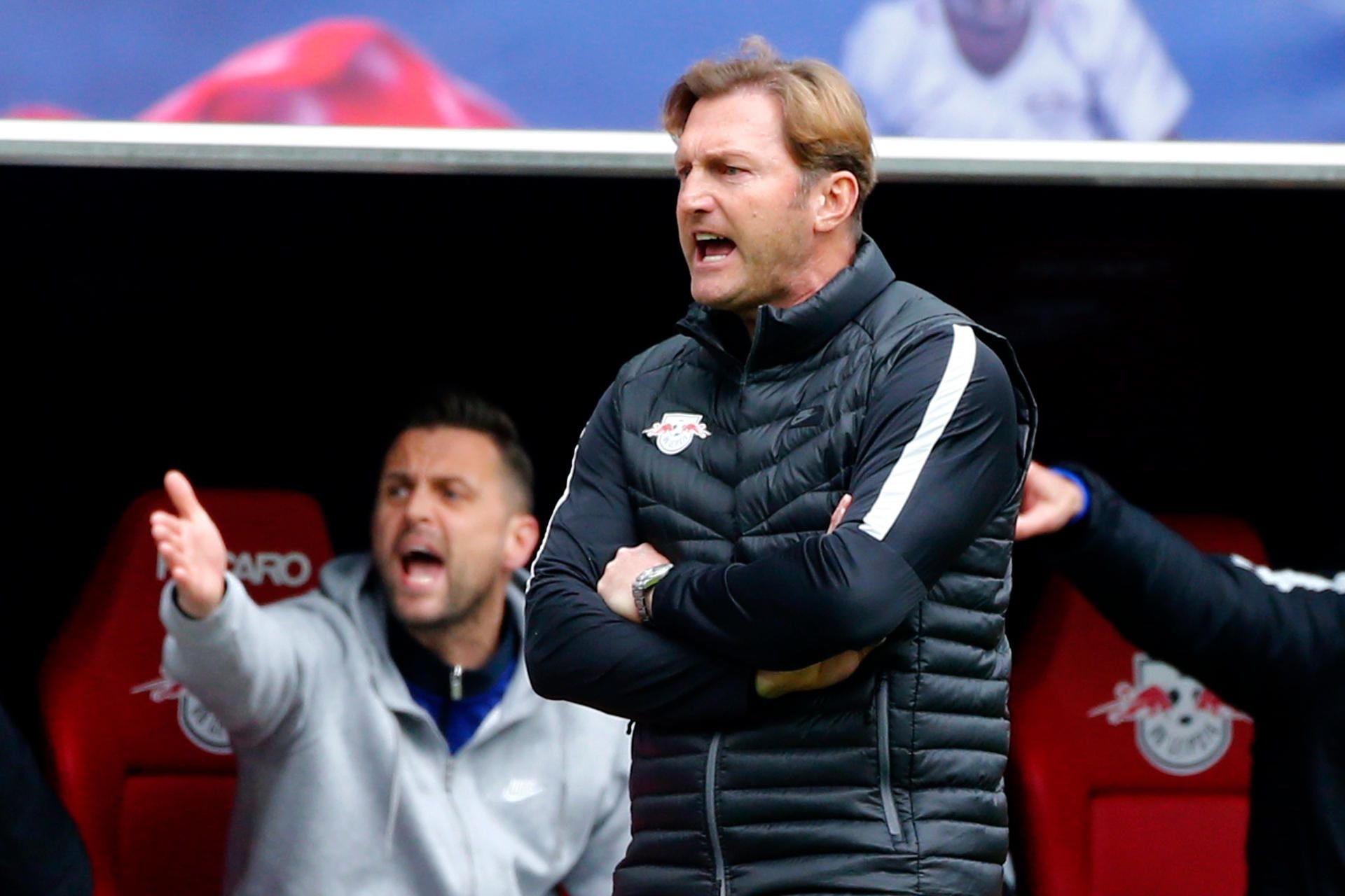 Der Leipziger Cheftrainer Ralph Hasenhüttl im Spiel gegen Ingolstadt