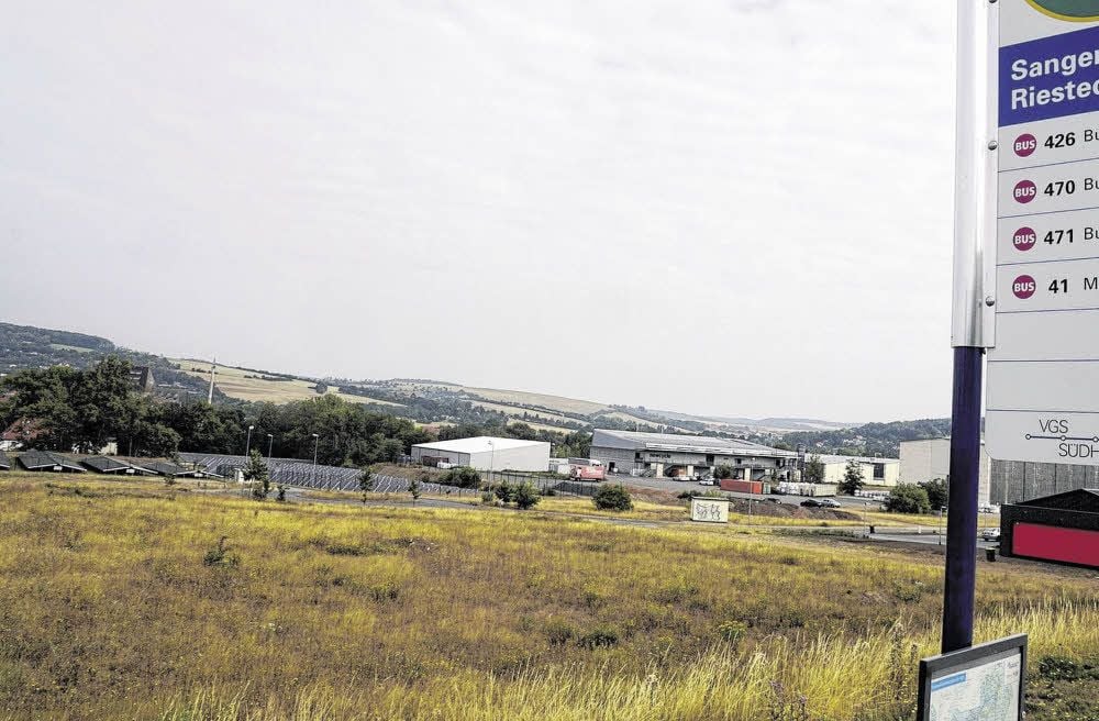 Wo heute noch die Wiese auf dem Mafa-Gelände blüht, wird bald Industriefläche sein.