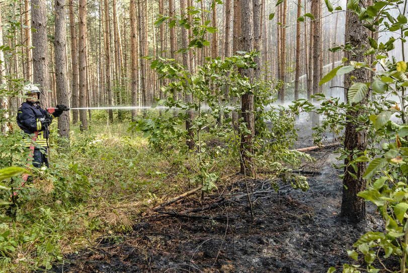 Der Brand bei Radis