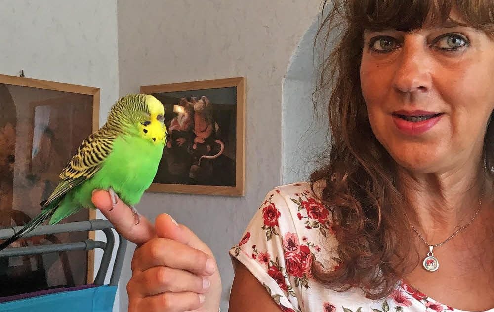 Astrid Korn sucht den Besitzer des grünen Wellensittichs.