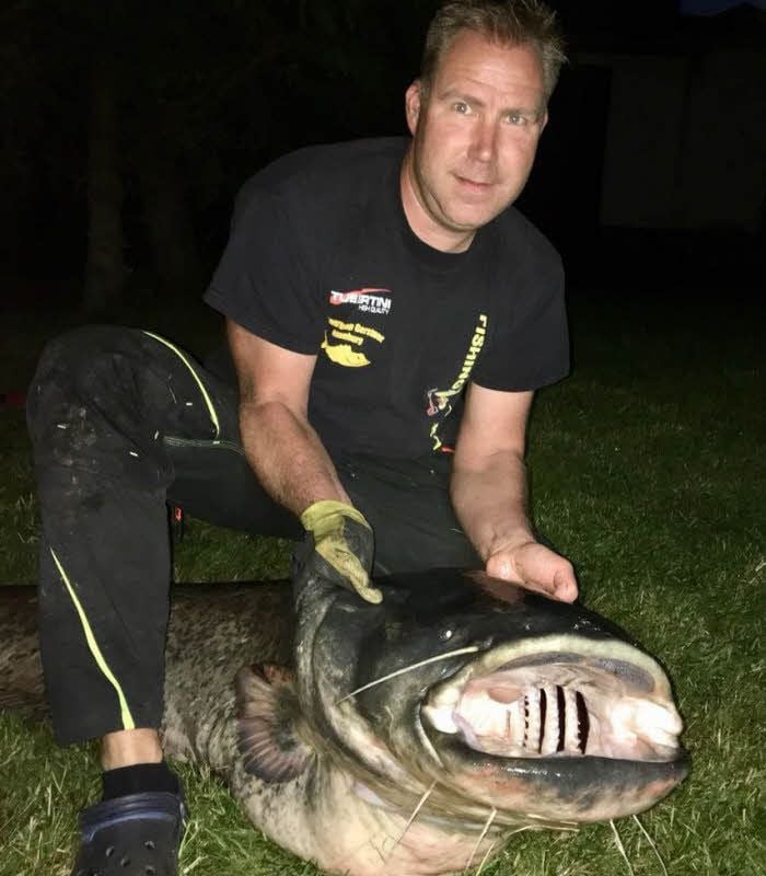 Einen echten Megawels hat Matthias Gerstner aus der Saale gefischt.