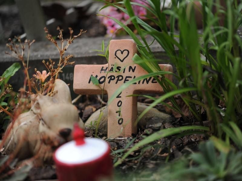 Ein kleines Grab mitzugestalten, kann für Kinder ein wichtiges Ritual sein, um den Tod eines Haustieres zu verkraften. Foto: Emily Wabitsch/dpa-tmn