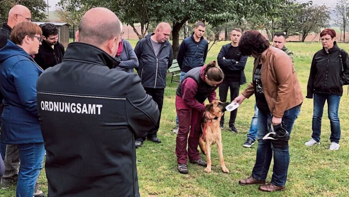 Tierärztin Sabrina Schiffler versucht, bei einem Tierheimhund den implantierten Chip elektronisch auszulesen.