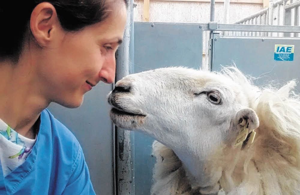 Franziska Knolle und eines ihrer Versuchstiere.