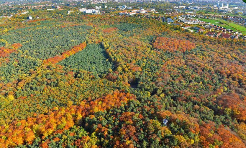 Die Dölauer Heide beginnt praktisch hinter Kraußes Gartenzaun.
