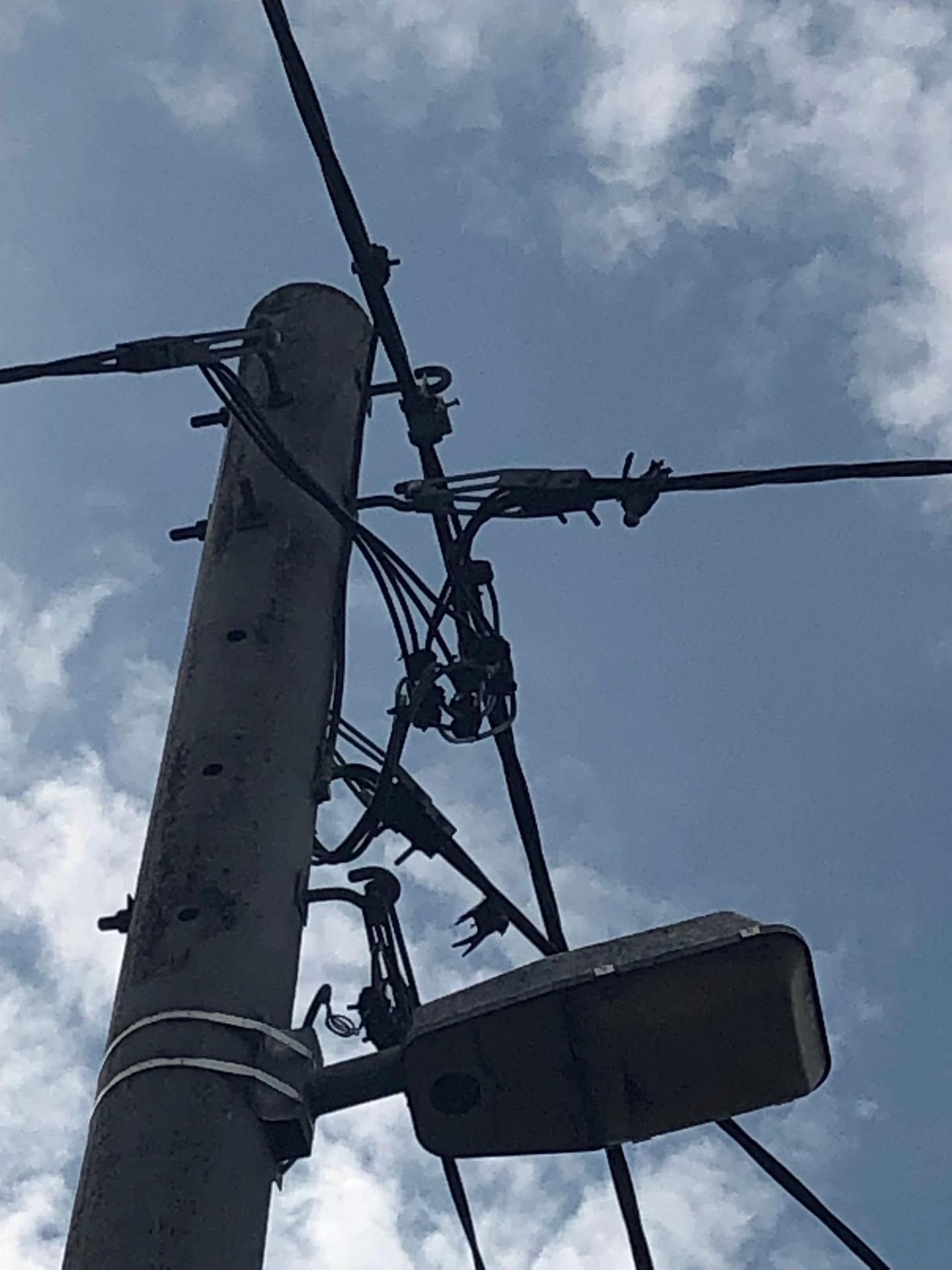 Oben an den Masten in der Straße Neue Reihe in Ziegelroda waren sie am Montag zu sehen: tote Schwalben, verfangen zwischen Leitungen.