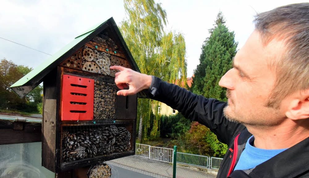 In solch einem selbst gebauten Insektenhotel können Wildbienen gut überwintern. Der Imker zeigt die von den Insekten verstopften Löcher.