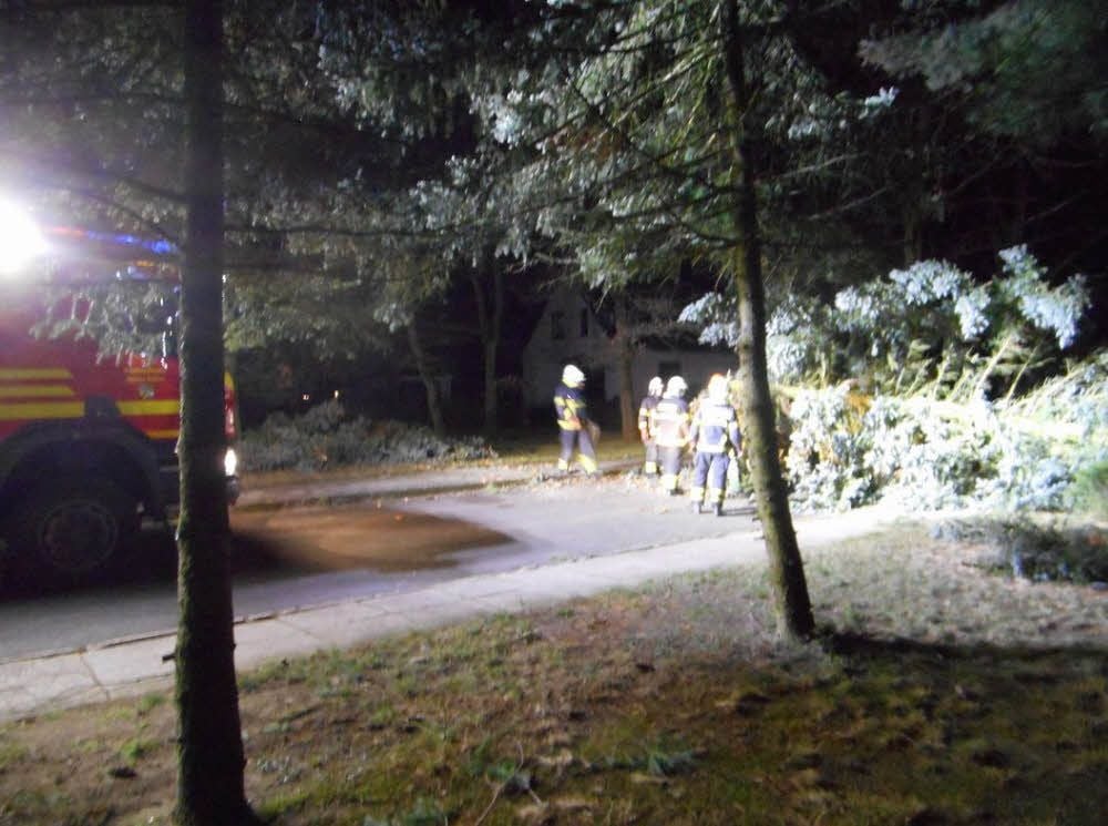 Die Feuerwehr hatte am Donnerstag mit zahlreichen umgestürzten Bäumen zu tun.