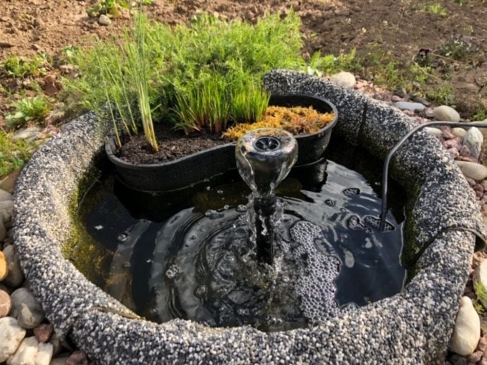 Der Brunnen soll den Bienen ausreichend frisches Wasser bieten.