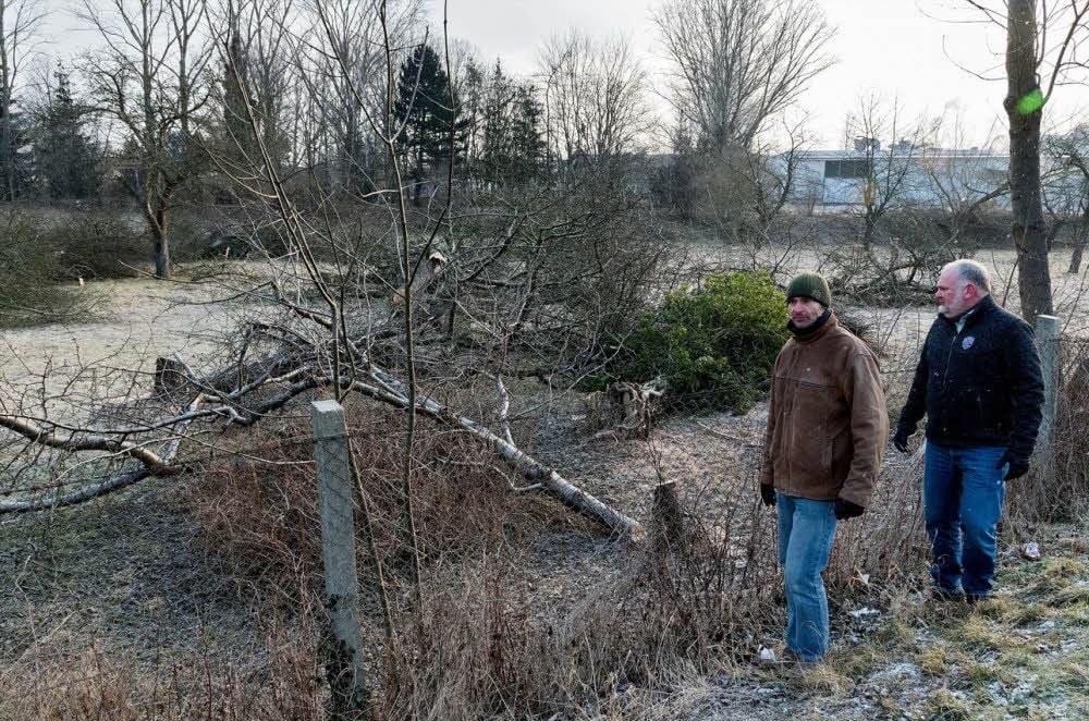 Thomas Veit (li.) und Steffen Bieda stehen vor der Wiese, auf der unberechtigt Bäume gefällt wurden. Sie sind empört.