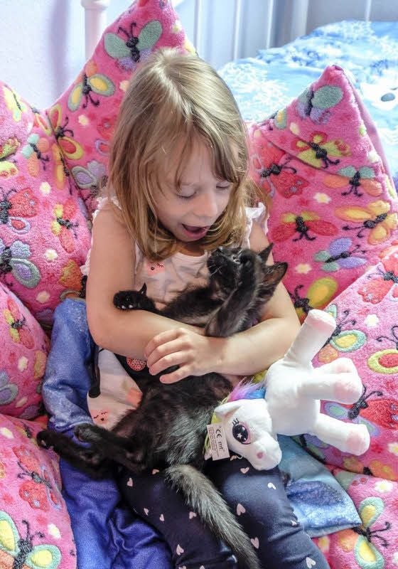 Lilly liebt ihre kleine Katze und spielt gern mit ihr, was die Katze wiederum mit großer Zutraulichkeit erwidert.