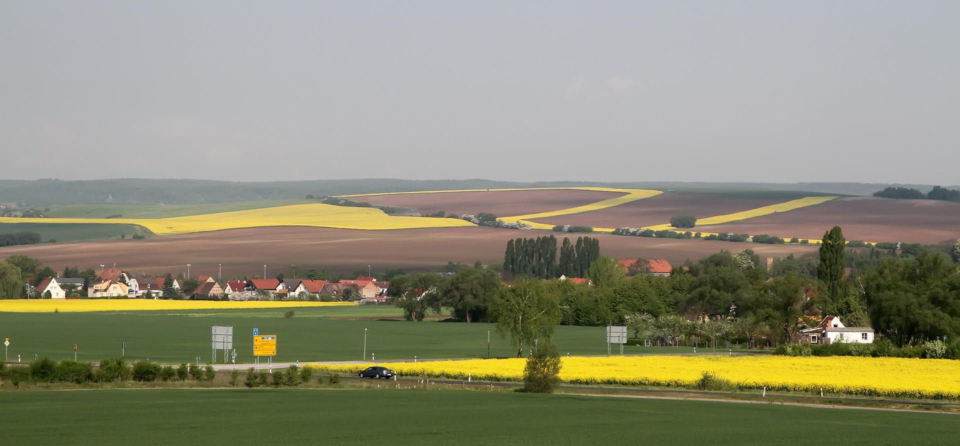 Der Sangerhäuser Ortsteil Riestedt nimmt am Wettbewerb „Unser Dorf hat Zukunft“ teil.