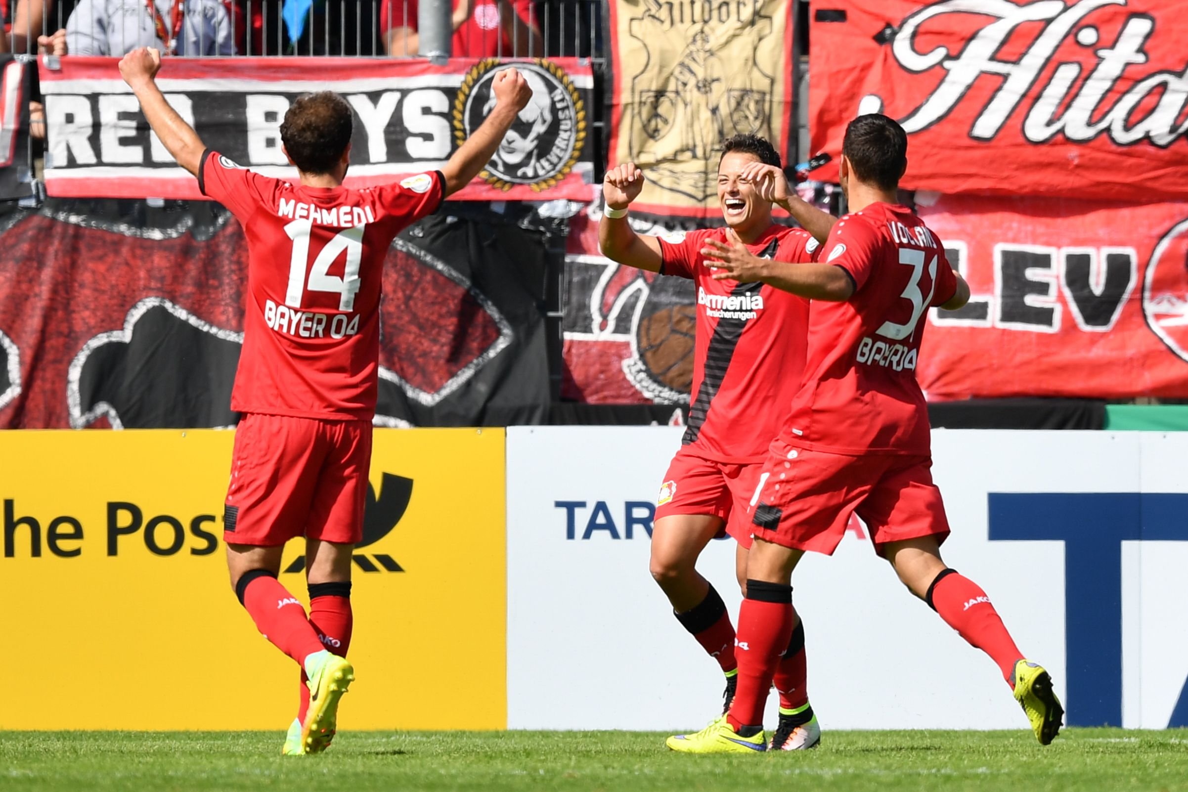 Roschütze Chicharito freut sich gemeinsam mit Teamkollegen Admir Mehmedi und Kevin Volland.