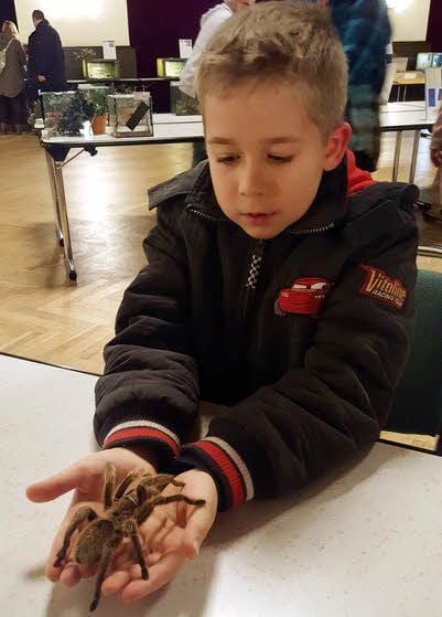 Zu Hause freundet sich Hannes Andree mit Hausspinnen an.
