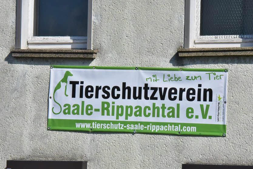 Die Auffangstation hat keine Zukunft.