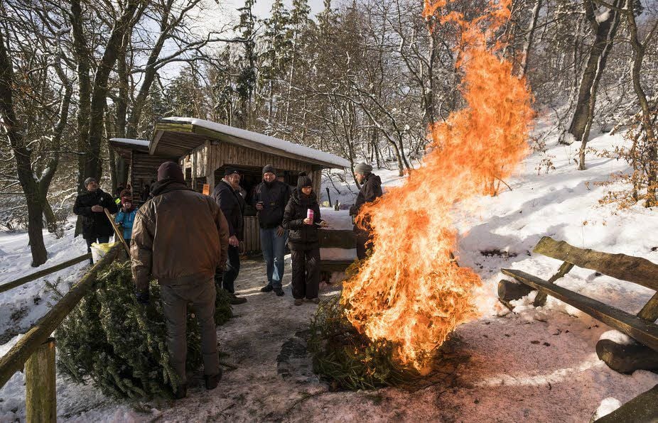 Eher spontan war die Aktion, bei dem Fest auch Tannenbäume zu verbrennen.
