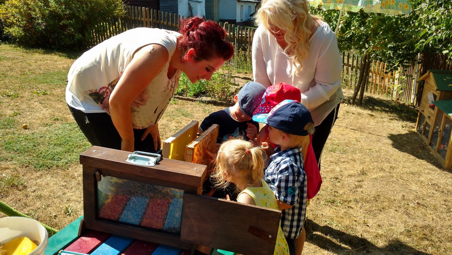 Kinder Kratzen Honig von einem mit Waben bespannten Holzrahmen. Kita-Leiterin Jasmin Weiss (links) und Vorsitzende Kathrin Edel (rechts hinten) schauen zu.