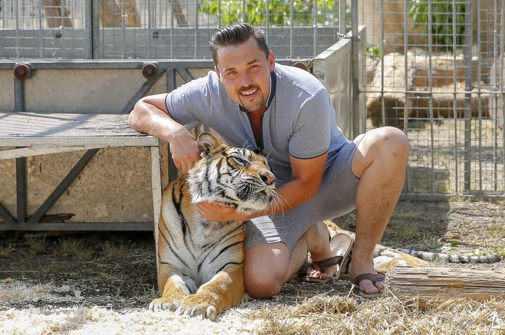 Tiertrainer Tom Dieck Jr. mit Tigerdame Dehli