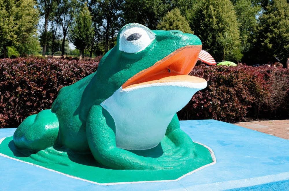 Der Frosch ist das wohl bekannteste Motiv des Waldbads.