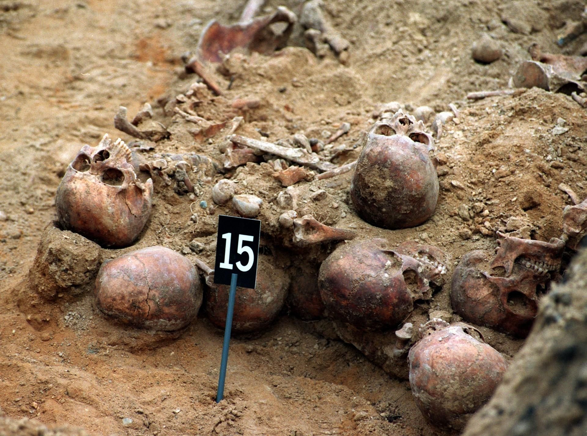 Menschliche Schädel und Knochen in einer Baugrube in Magdeburg: Die insgesamt 21 Schädel und vielen Skeletteile waren am im Jahr 1994 bei Bauarbeiten in einer Grube in rund zwei Meter Tiefe entdeckt worden.