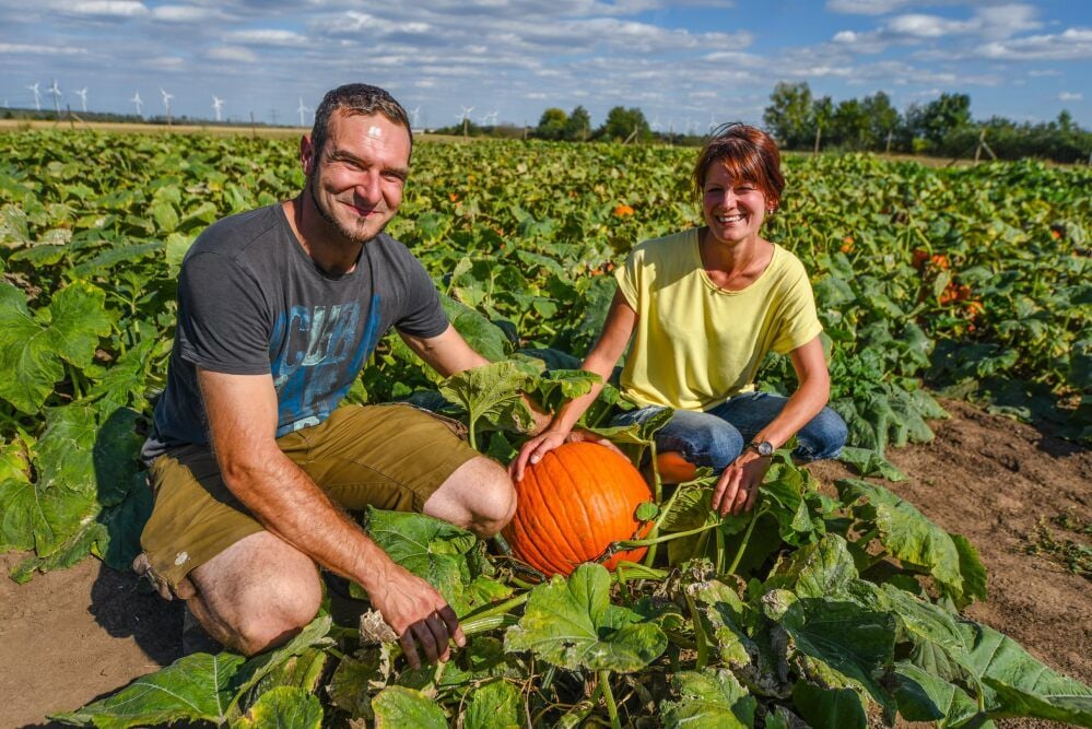 Die Landwirte Susanne Holter und Erik Seydel mit einem großen Kürbis auf dem Selbstpflückfeld bei Esperstedt