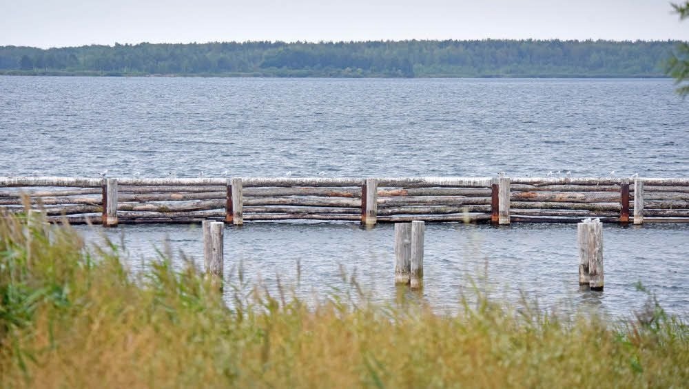 Der Muldestausee-Gemeinderat kritisiert, dass die Dalben für die geplante Marina, also die Holzpfähle, ohne wasserrechtliche Genehmigung errichtet wurden. Zudem ist der empfohlene Sicherheitsabstand von 100 Metern nicht eingehalten worden.