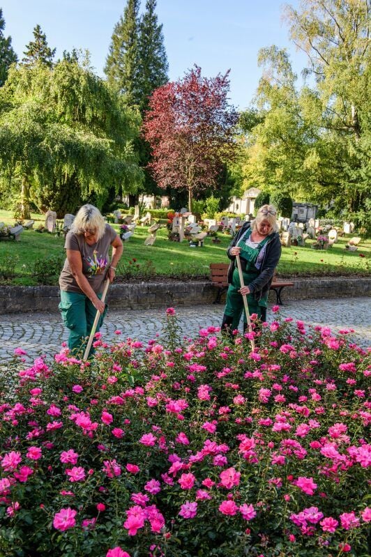 Christine Schütze (l.) und Silke Ernst pflegen die Blumenbeete auf dem Neuen Friedhof in der Weißenfelser Straße.