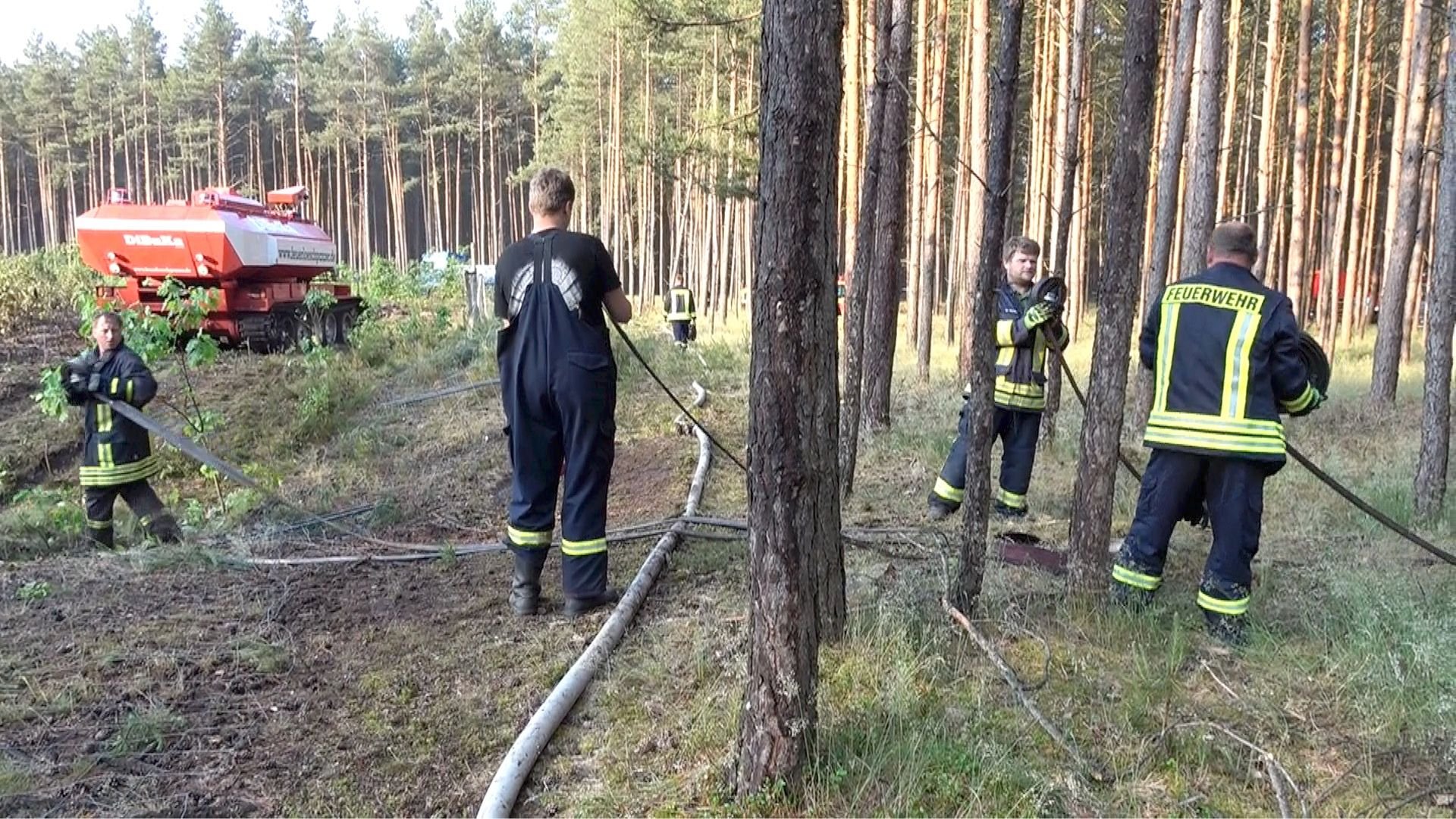 In dem schwer zugänglichen Waldstück bei Stendal sind 300 Feuerwehrleute im Einsatz.