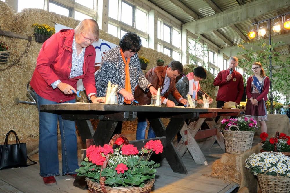 „Ran an die Spargelschäler“, hieß es beim Spargelfest in Seyda für die Prominenten, (von links) Doris Stiller vom Amt für Landwirtschaft, Flurneuordnung und Forsten, Silke Falkenhain von der Volksbank „Elsterland“, Jessens Bürgermeister Michael Jahn und, überraschend, für Sabine Mühlbach. Jens Busse vom Seydaer Spielmannszug und Spargelprinzessin Vivien Grosser achteten auf einen regelkonformen Ablauf.