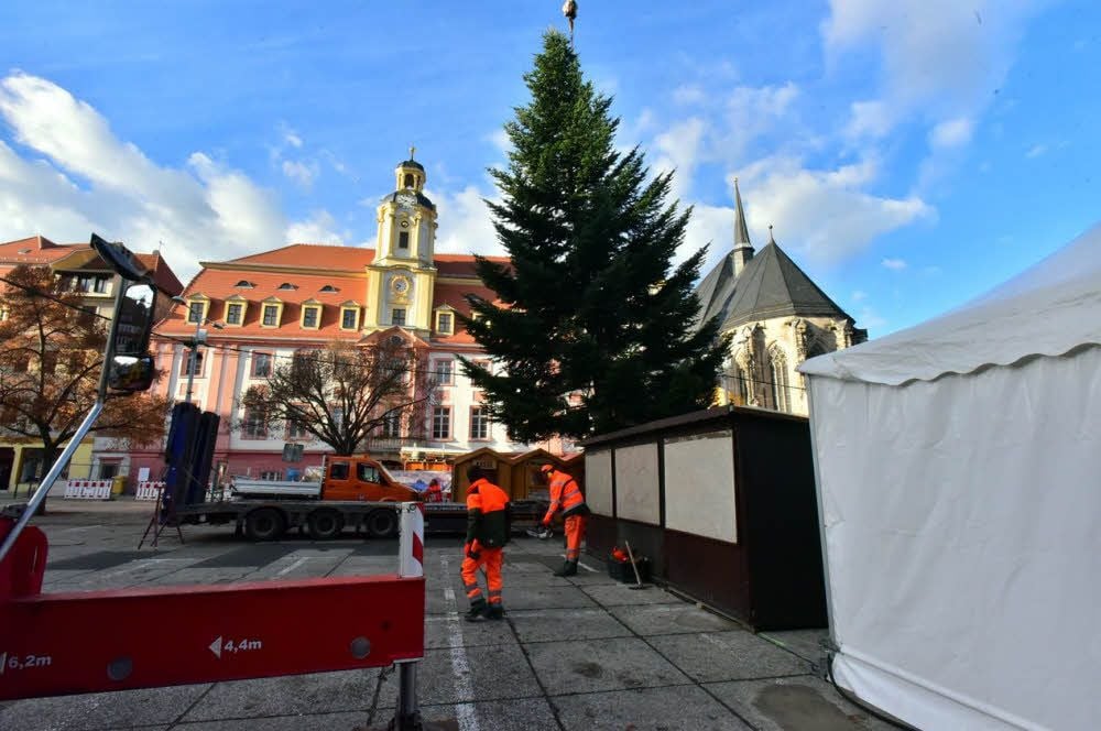Der Weißenfelser Weihnachtsbaum 2016