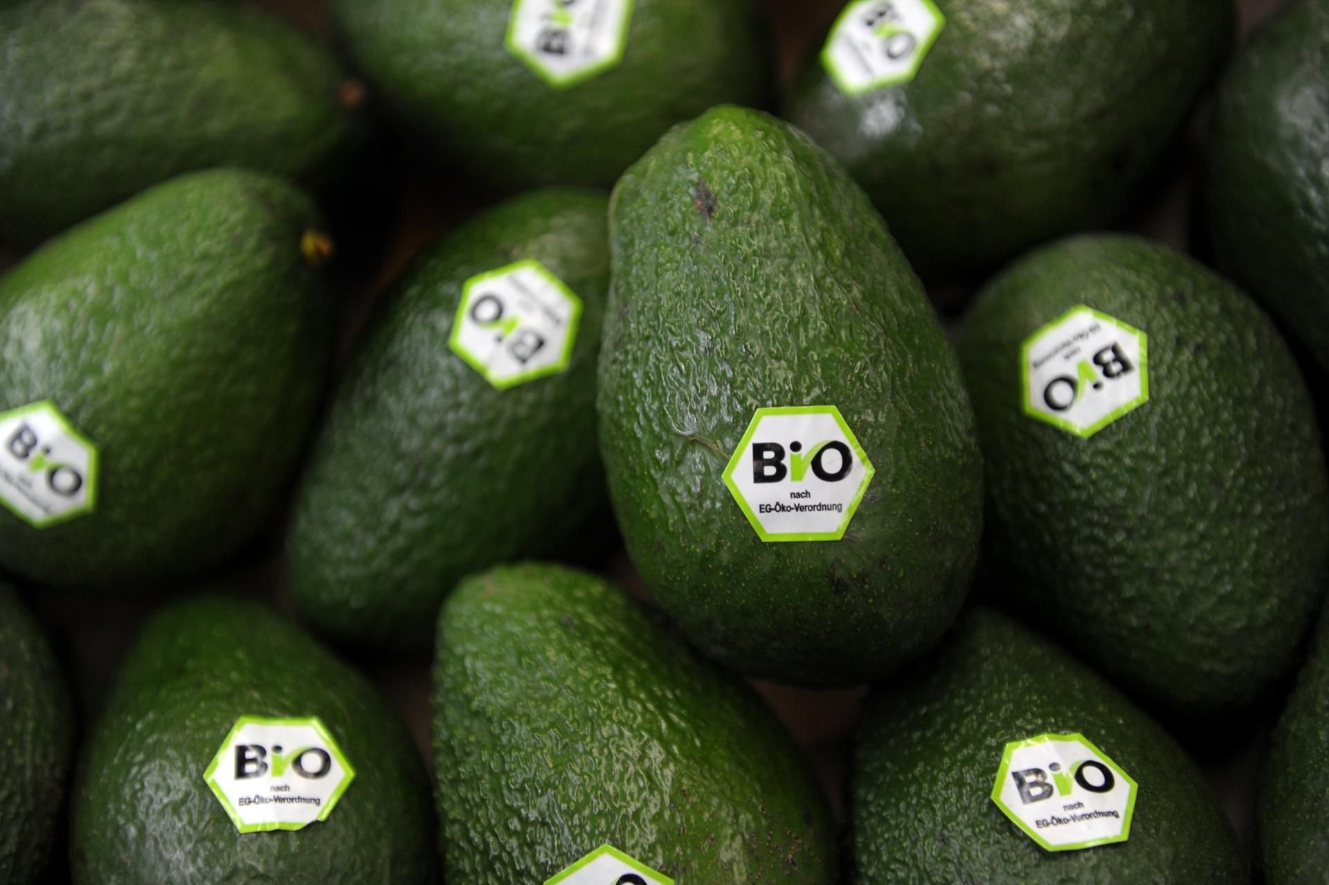 Die Deutschen lieben Avocados. Im letzten Jahr wurden so viele importiert, wie noch nie zuvor. Besonders bei Veganern ist die gesunde Frucht beliebt.